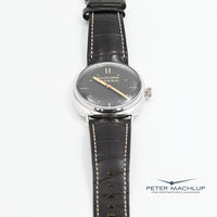 Panerai Radiomir 3Day Platino