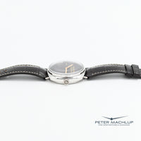 Panerai Radiomir 3Day Platino